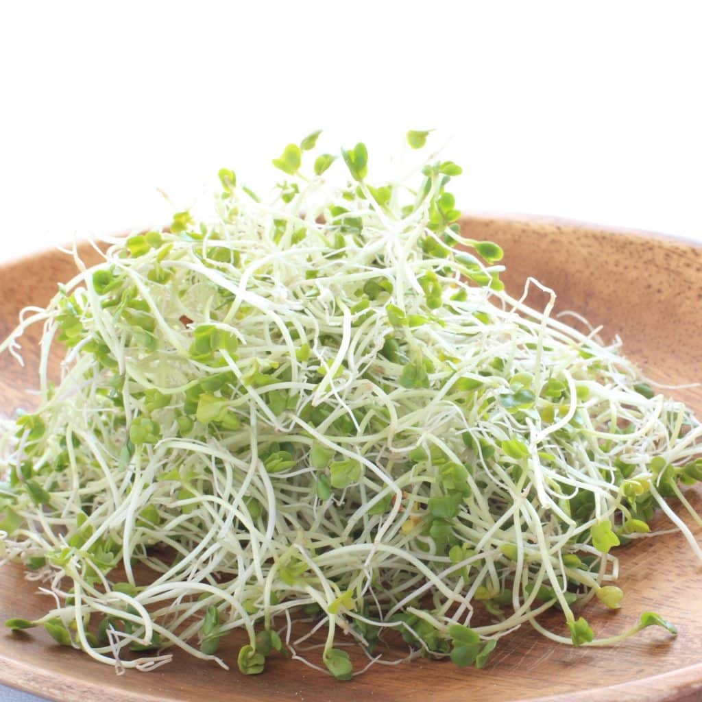 Broccoli sprouts in a pile