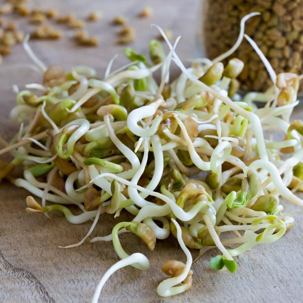 Bean sprouts on a table