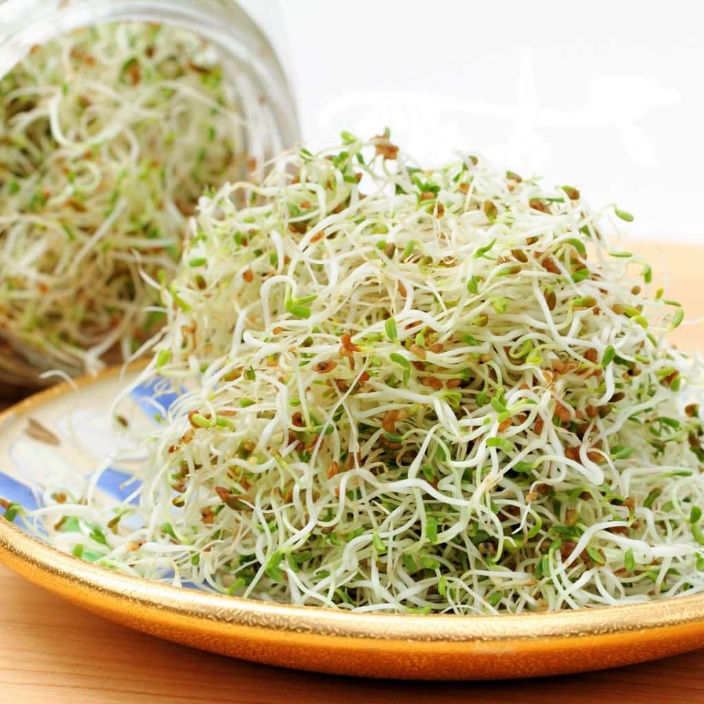 Broccoli sprouts on a plate