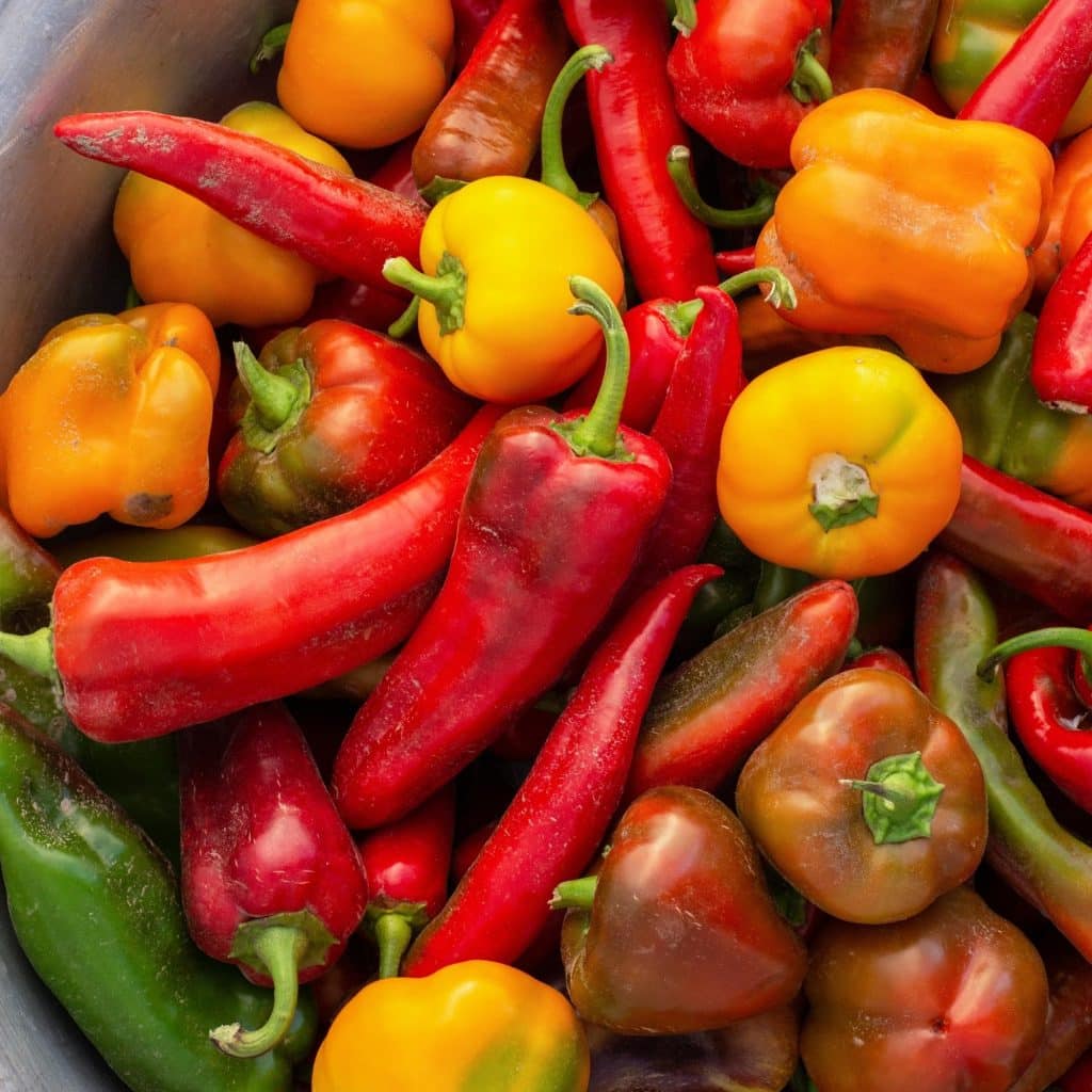 A bunch of different types of peppers in a bowl