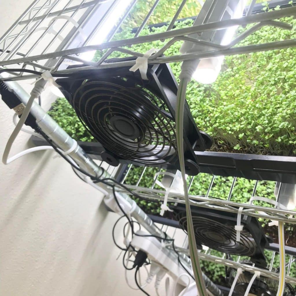 A side look down a DIY Microgreens Setup