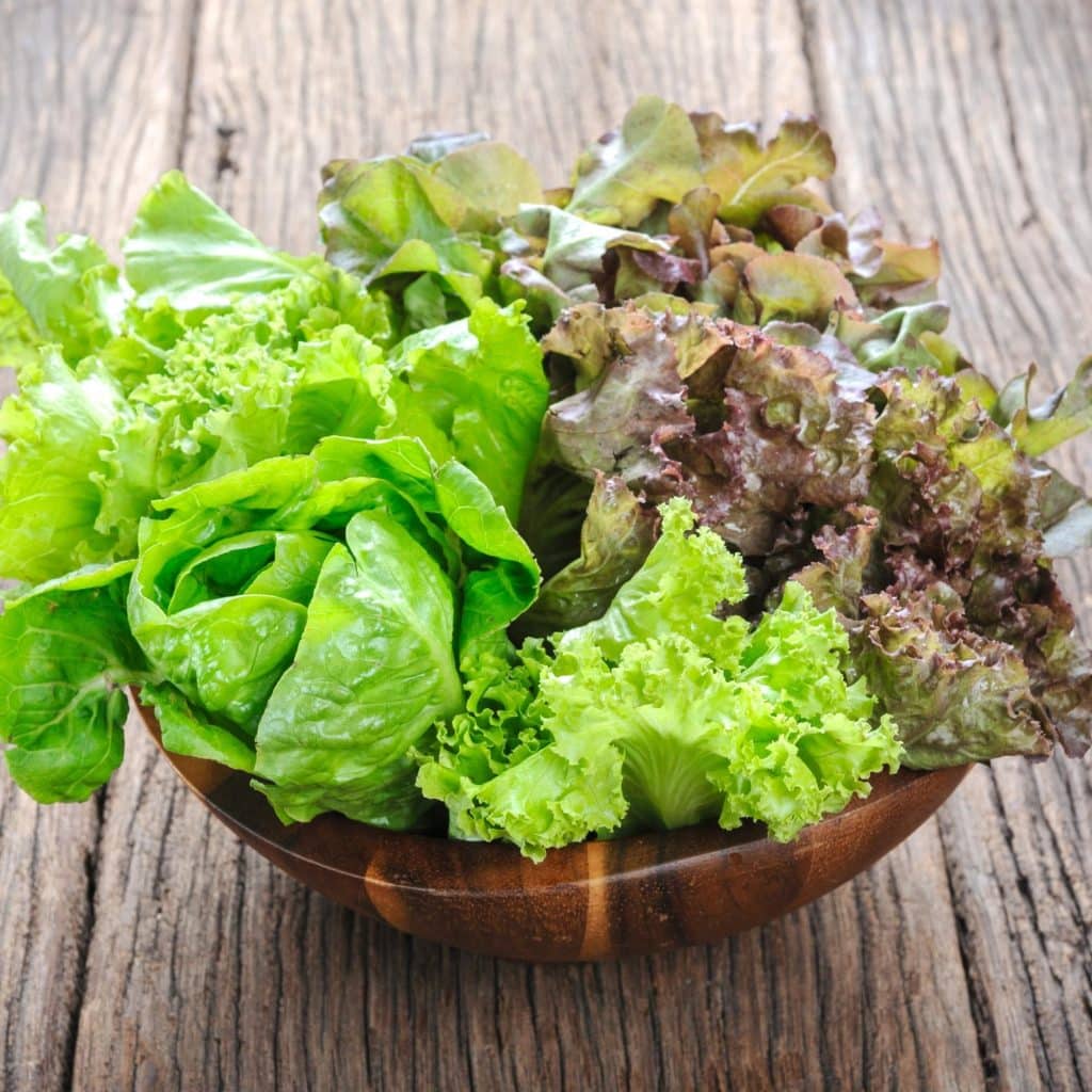 A wooden bowl full of different types of lettuce