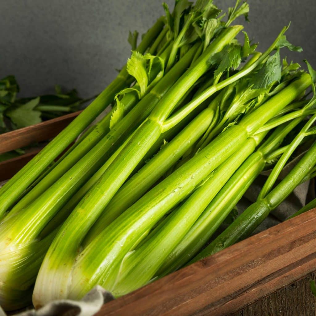 celery