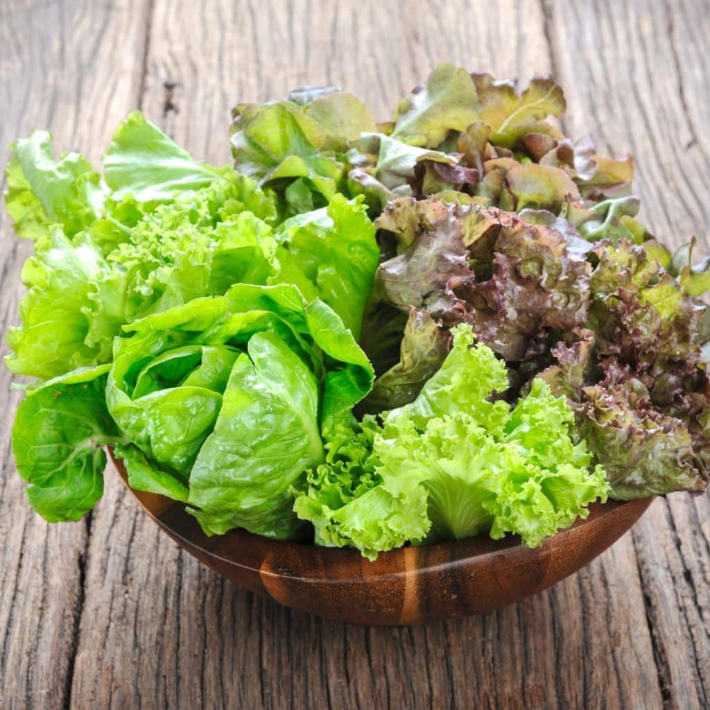 different types of lettuce in a bowl