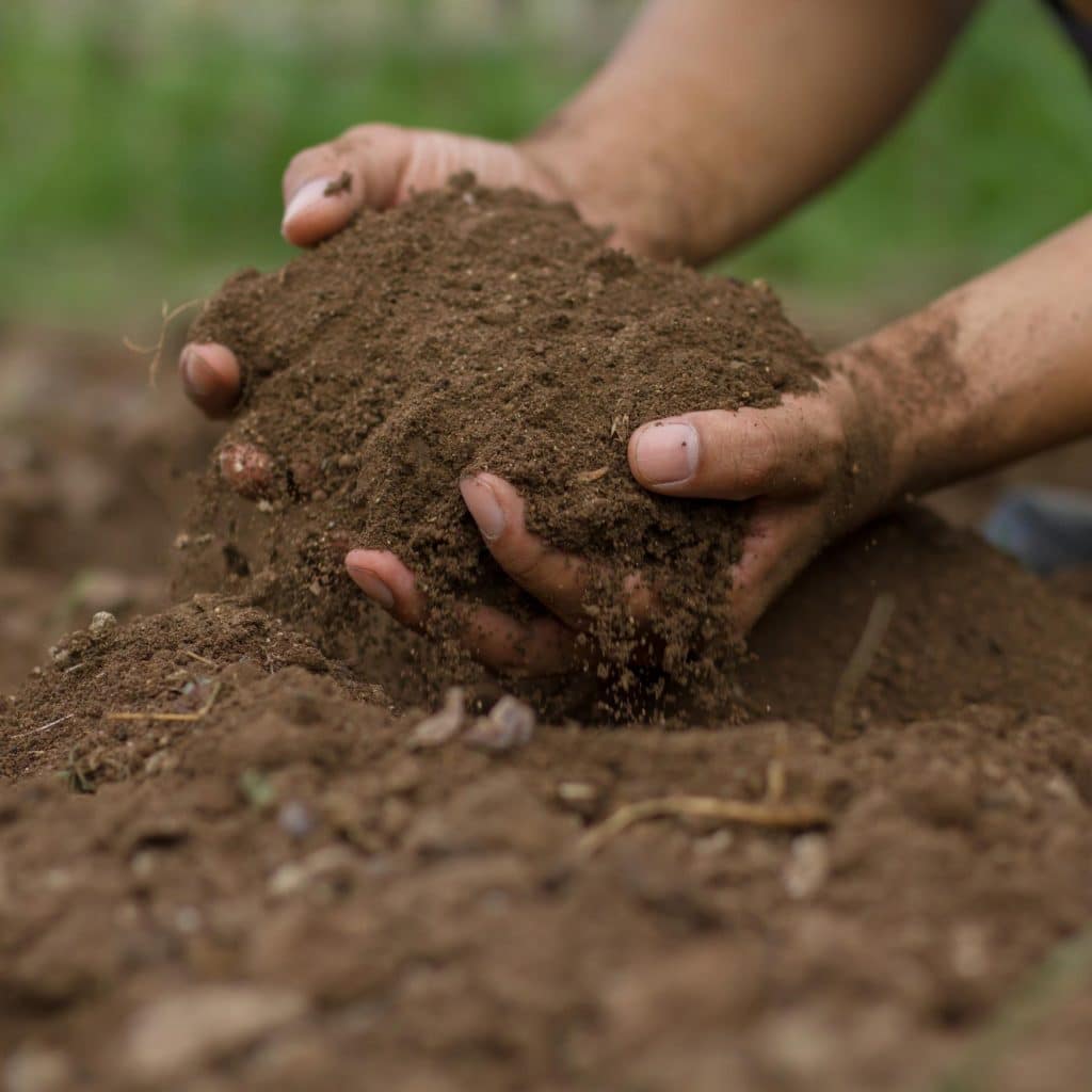 preparing soil