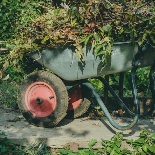 A wheelbarrow full of organic matter to lay on garden as mulch