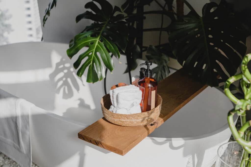Home Remedies For Plant Insects with a monstera plant next to a white tub with bath soaps.