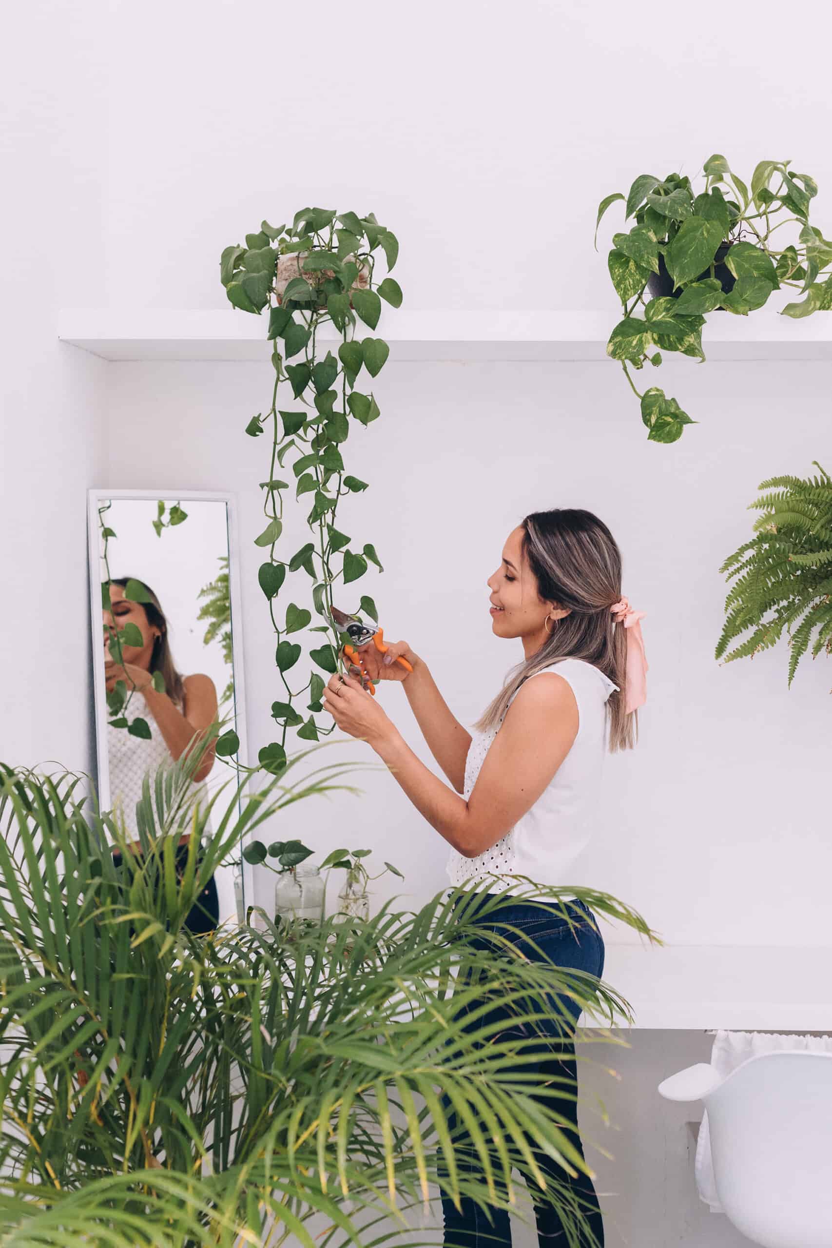 A woman pruning a hanging golden pothos plant.